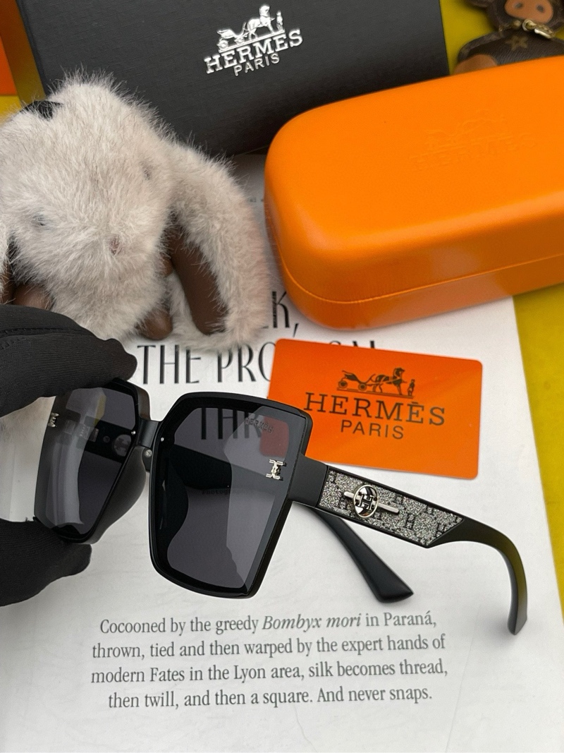 Hermes Sunglasses-58